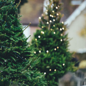 Arbre de Noël